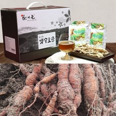 초록마을양파즙