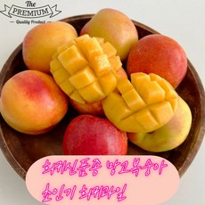 [국산/국내산] 산지직송 망고 맛이 나는 제철 망고복숭아 (중대과) 희귀과일 프리미엄 과일 당일수확 골드복숭아 복숭아 제철과일 과일선물, 1박스, 2kg