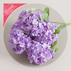 1fa8140c443cad710cca6f9fea5ae179e3a3fce48ea5f12a2e818f865eec.jpg
