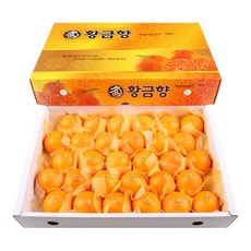 여름황금향