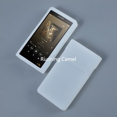 wm1zm2