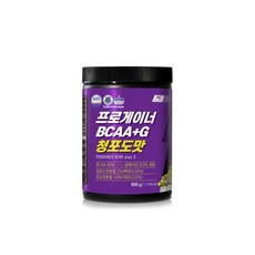 프로게이너 파워부스터 500g_자몽 에너지보충제, 프로게이너 BCAAG 300g_청포도 BCAA 글루타민