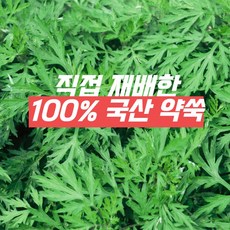 마크앤재이 국내산 국산 좌욕 입욕 약쑥 분말 티백 아로마 인진쑥 생리통 산후조리 세안 기황 쑥 입욕제 쑥입욕티백, 1팩, 5g