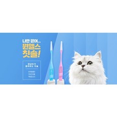원헬스 고양이전용 초소형 칫솔 치약 입냄새 치주염 치아관리, 반려동물 칫솔(극소형), 1개