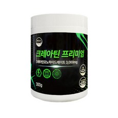 웰리즈 크레아틴 프리미엄 분말 300g, 1개