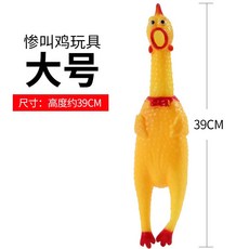 두다피트니스