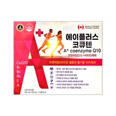 에이플러스코큐텐