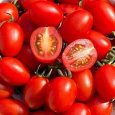 [해마루] 오픈특가 GAP인증 대추방울토마토 로얄과 2kg 5kg 대과 당일수확 산지직송, 1개, 대추방울토마토 2kg 2/3번 중소과