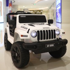 성인용전동차