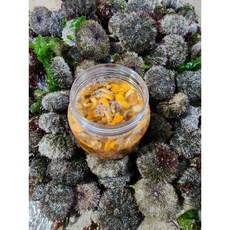 성게 말똥성게 거제도해녀가 채취 손질한 자연산 말똥 성게알(우니), 1개, 300g