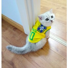 월드컵이지밸런스