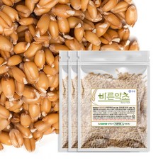 발아 카무트 2024년산 햇 발아 상품, 3개, 1kg