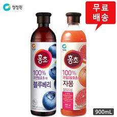 홍초자몽