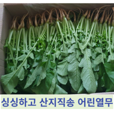 [국내산] 싱싱하고 아삭아삭 깔끔손질 농가직송 어린열무 열무 열무김치, 1개, 4kg