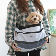 루이독슬링백