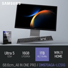 삼성 올인원 PRO DM970AGA-LC51G, WIN11 Home, 1TB, 16GB