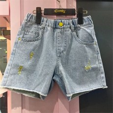 cith22fz4