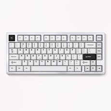 VGN VXE75 기계식키보드 75배열, 실버, 아니아축