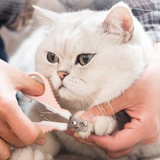 강아지발톱깎이보조가방
