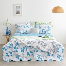 메종노아고주파스프레드sk