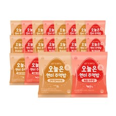 오늘은현미주먹밥
