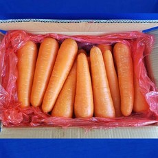 중국대파