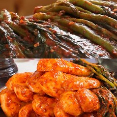 [웰빙촌]여수돌산갓김치3kg＋알타리김치2kg, 옵션없음, 옵션없음