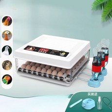 병아리 닭 부화기 온도 조절, 10 물 침대 이중 전기, 1개