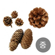 4dbb816277df6c963e7a51b9c3013734485bd35dca6b48630ea96db6052b.jpg
