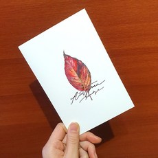 수제청만들기수업