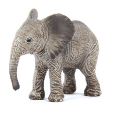 코끼리와헤엄치다