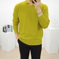 남자오픈카라니트