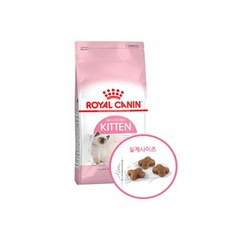 로얄캐닌키튼2kg