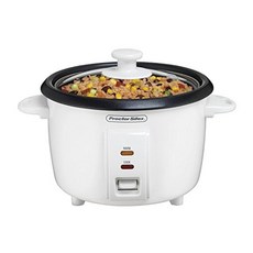 브라운푸드스티머