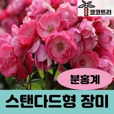 f76818bd36ec8a6fd5e31dfd90fe6c851f5787593030cc86b45664094cbb.jpg