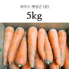 국산 흙당근 국내산 못난이 쥬스용 당근 3kg 5kg 10kg, 1box, 흙당근 중 5kg