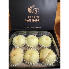 눈꽃 복숭아 설도 설아 선녀 설리 겨울복숭아 2kg 지리산 함양 산지직송 최고급 선물용, 2kg (7-9과), 1개