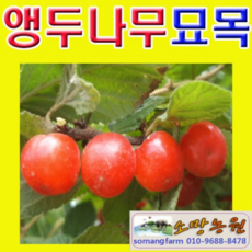8a474eb2217b00242abd13141dea8e1f9eca78090683f7c0ffe374ccd149.png