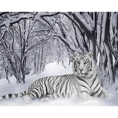 호랑이십자수도안