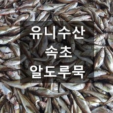 유니수산 당일조업 속초 생물 도루묵 20마리 1.5kg내외, 1세트