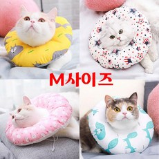 66a865da4fdcbfff804db853fbd84ddcd3a32cded7221b604b16418f09e2.jpg