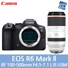 [캐논 정품] EOS R6 Mark II / 미러리스 카메라/ED