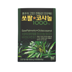 쏘팔코사놀 1000mg x 60캡슐 2박스(4개월분) 선물용 박스, 2개, 60정