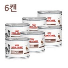 로얄캐닌화이버리스폰스