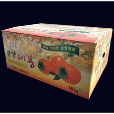 섬진강 토종 대봉감 10kg 22-26과, 22-26과(왕특)