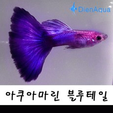 752da6e92d2f176ee7c25941dd691913a174fa1ed84eadf906402cbb7110.jpg