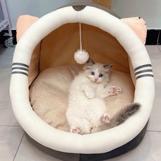 아기고양이집에놀러와