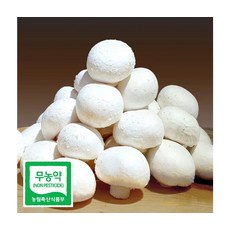부여 무농약인증 프리미엄 양송이버섯 특품 1kg, ONE COLOR, ONE SIZE