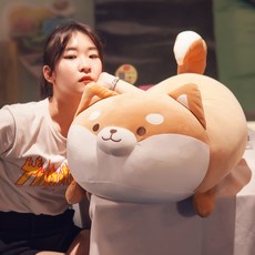 뚱뚱한시바견인형