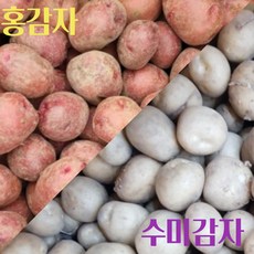 국내산 감자 홍감자 수미감자 조림용/ 햇 카스테라 저장 감자 중 3kg 홍감자 햇홍감자 감자 서홍감자 감자3kg, 3kg(중/카스테라홍감자), 1개